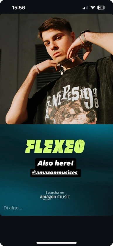 Spotify Story Example 1